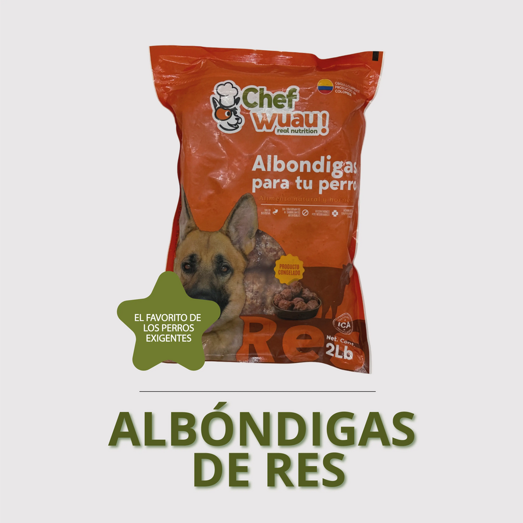 Albóndigas de carne de res