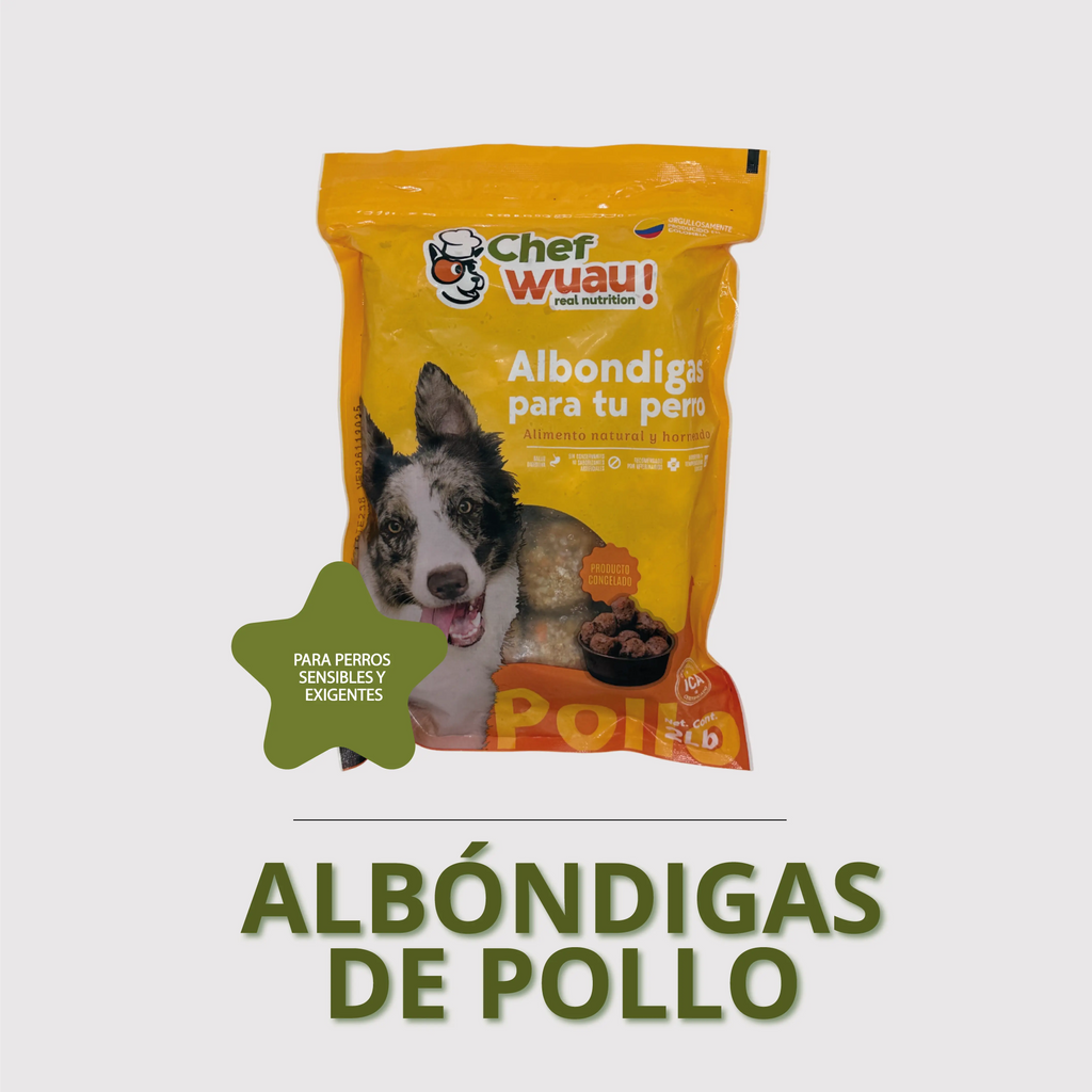 Albóndigas de pollo