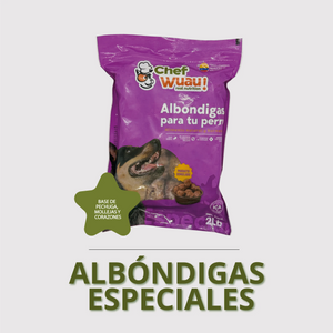 Albóndigas especiales